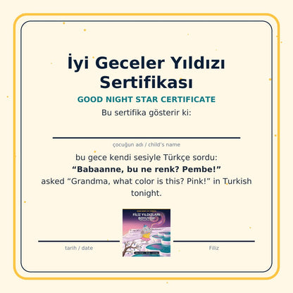 The Good Night Star certificate from Filiz Paints the Stars
